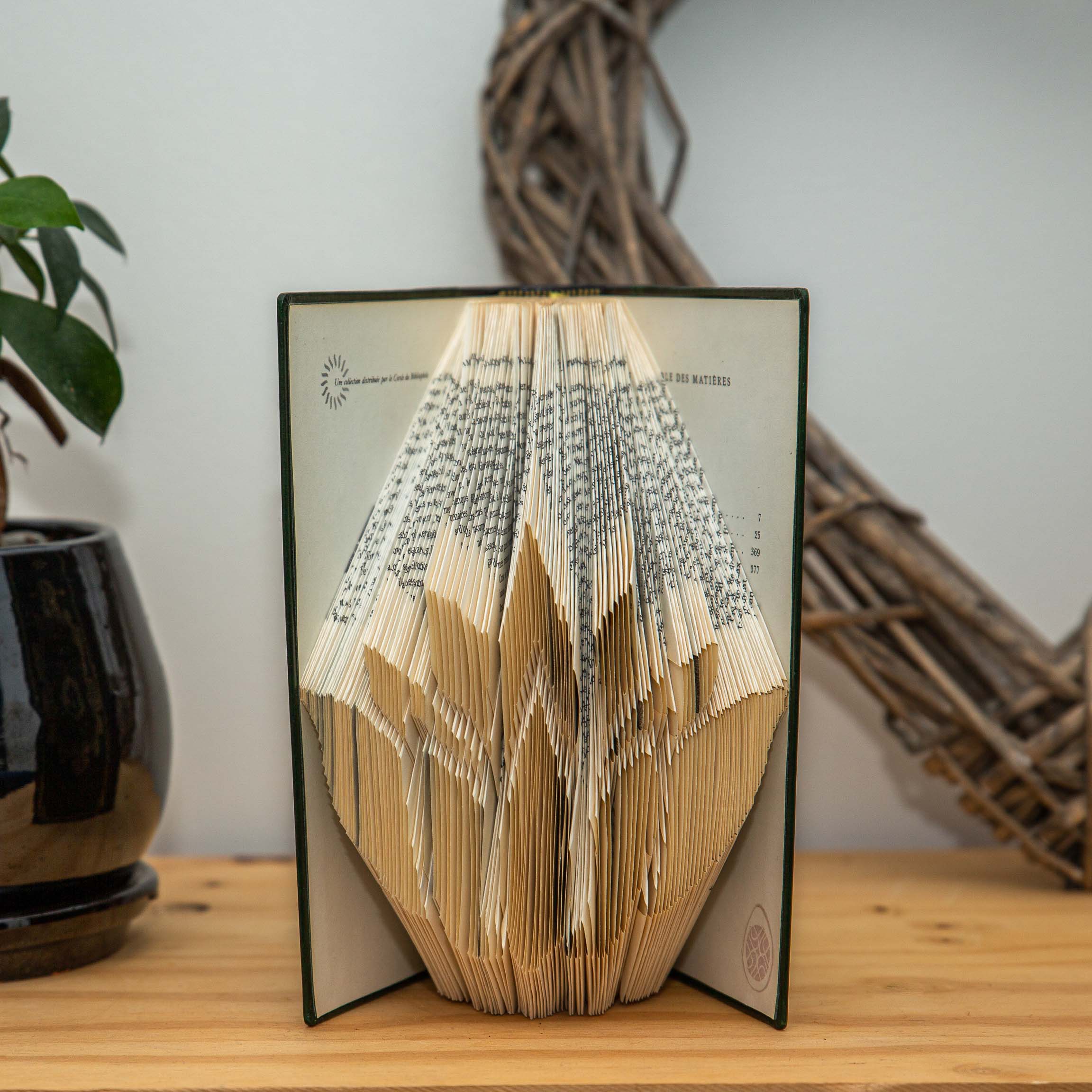 livre plié représentant une fleur de lotus