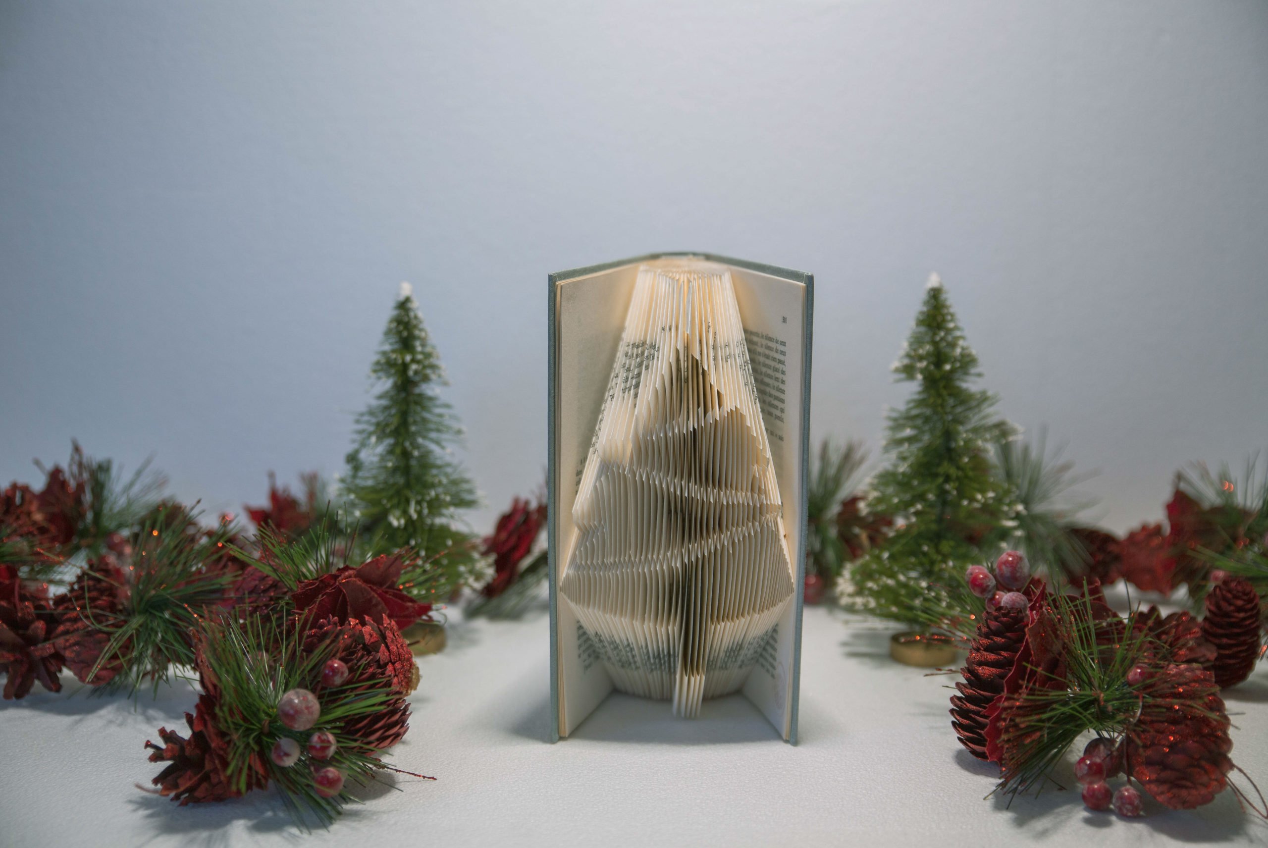 marry-me-epouse-moi-bookfolding-au-pays-de-ju-creatrice-idee-cadeau-originale5